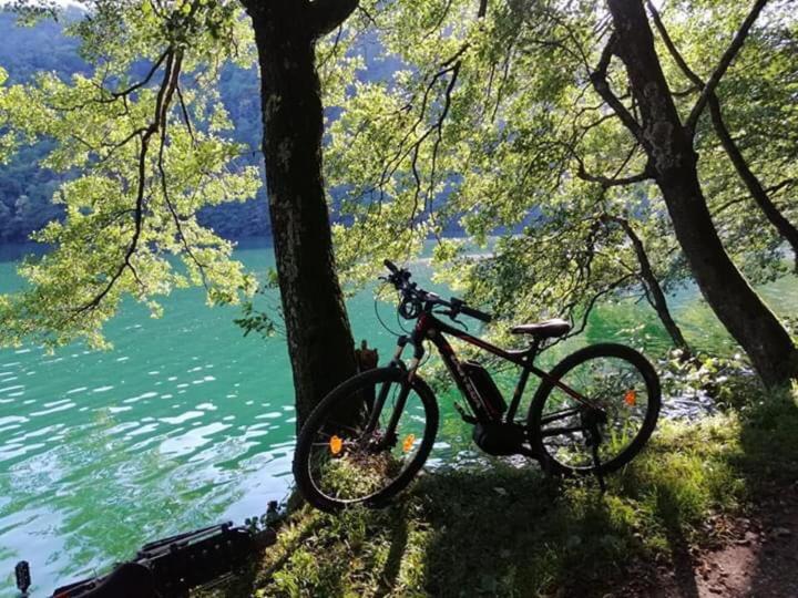 Appartamento Levico Lake Levico Terme Exterior foto